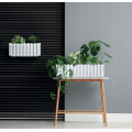 Квітковий горщик Prosperplast Boardee Fencycase 600