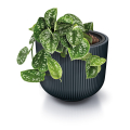 Квітковий горщик Milly 470L