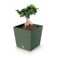 Квітковий горщик Prosperplast Furu Square Low 300