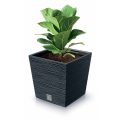 Квітковий горщик Prosperplast Furu Square Low 240