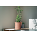 Квітковий горщик Tubo P Beton Effect 150E