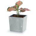 Квітковий горщик Urbi Square Low Beton Effect 300