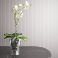 Горщик для орхідеї Orchidea PS 120